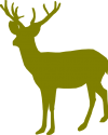 Hirsch Logo